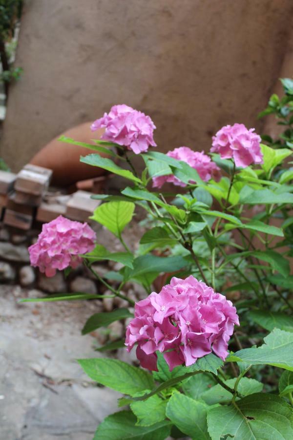 Il Giardino Dei Fiori Apartman Mandello del Lario Kültér fotó